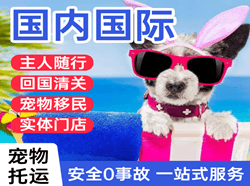巴彦淖尔机场货运国际宠物托运 【国